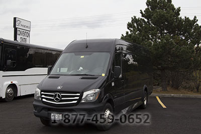 Party Bus (Sprinter) - 12-14 Passengers