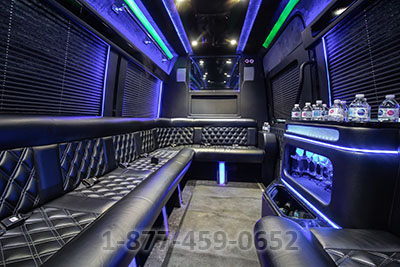 Party Bus (Sprinter) - 12-14 Passengers