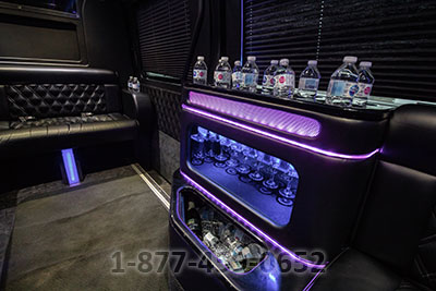 Party Bus (Sprinter) - 12-14 Passengers